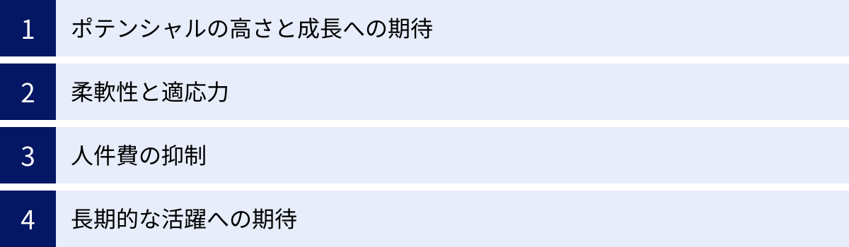 ポテンシャルの高さと成長への期待、柔軟性と適応力、人件費の抑制、長期的な活躍への期待